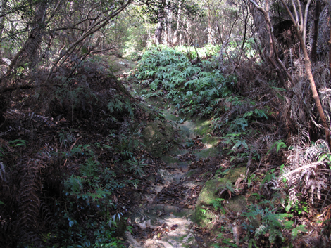 20131116hike (112)